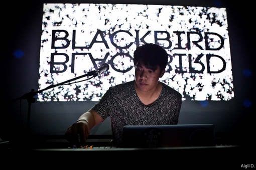 Plissken2013_day1_2_Blackbird_Blackbird