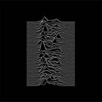 1joydivision