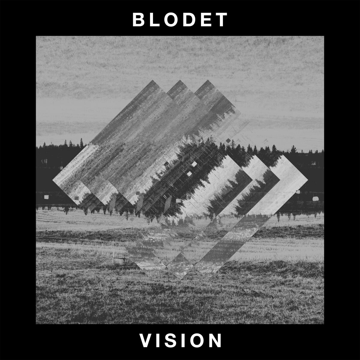 blodet-vision