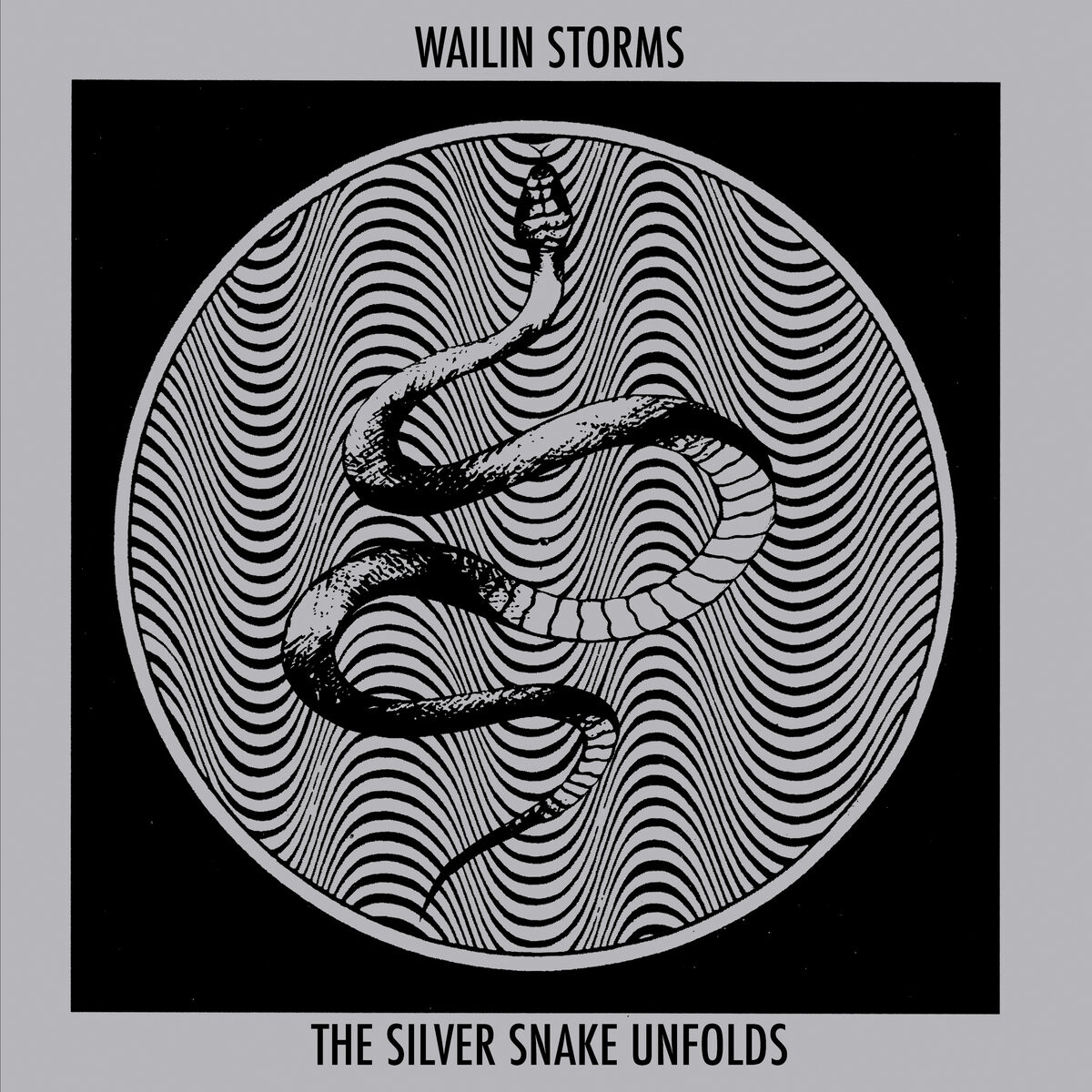 wailin-stormsthe-silver-snake-unfolds