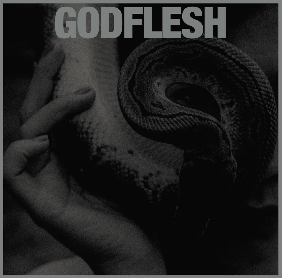 godflesh-purge