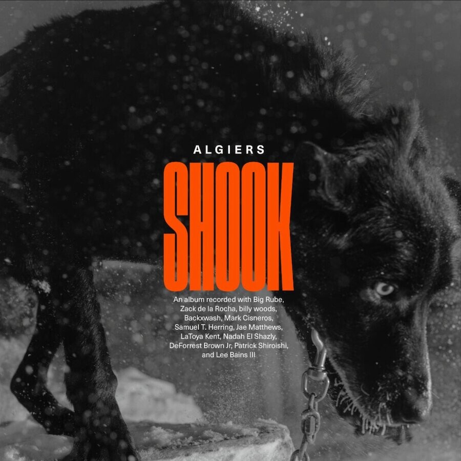 shook-artwork