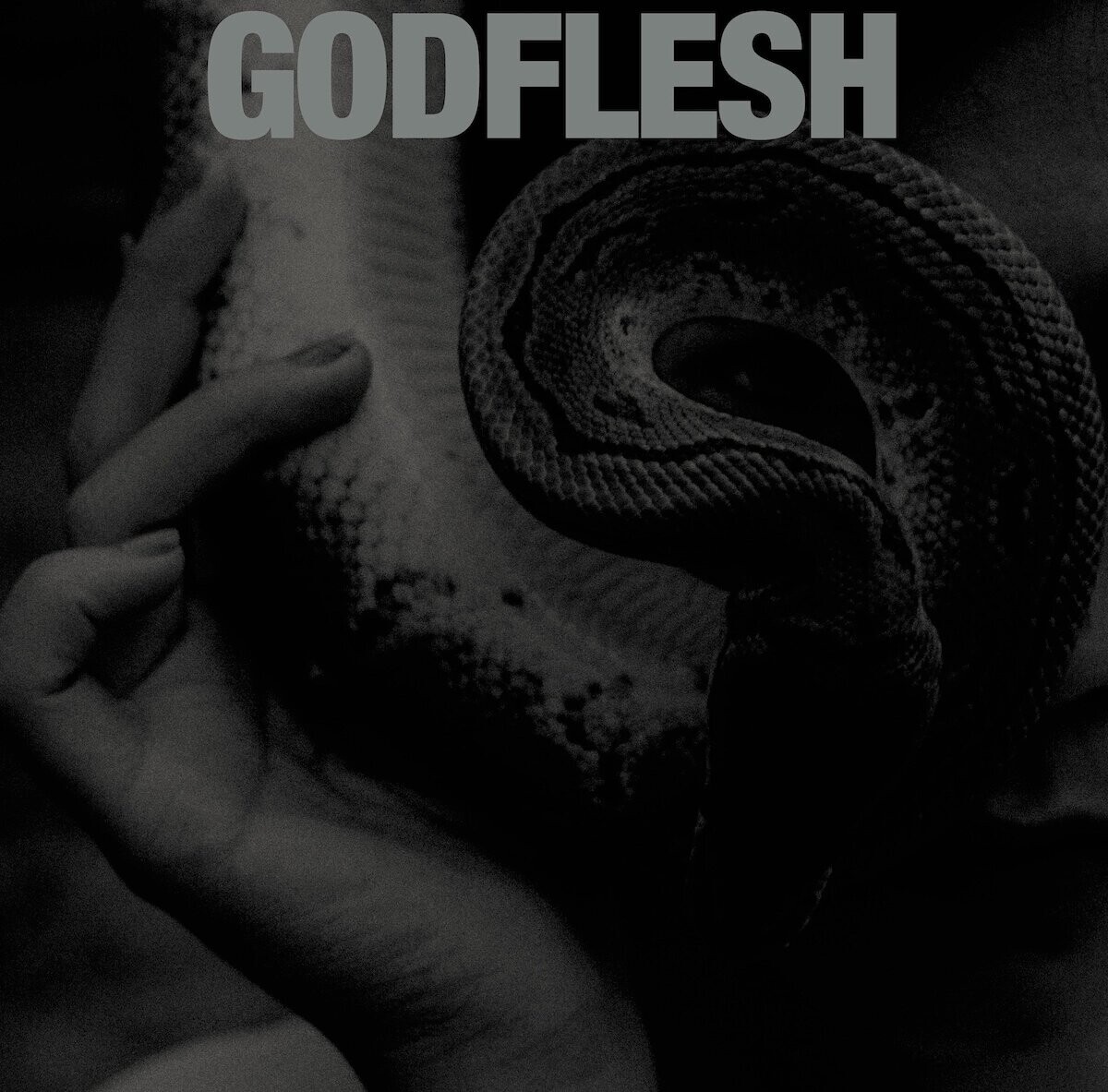 godflesh-purge