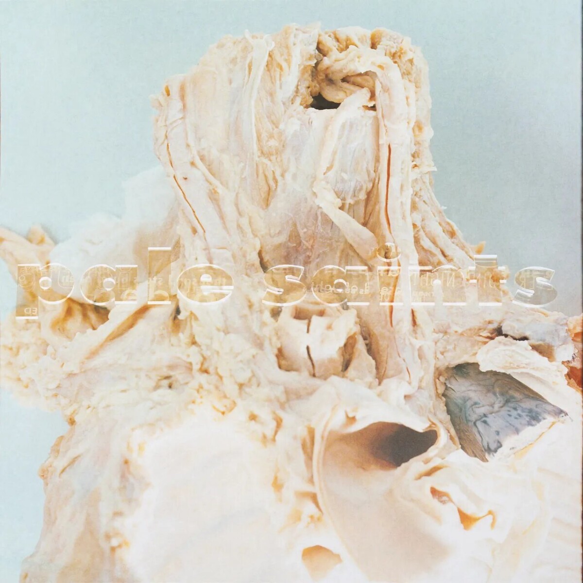 pale-saints-lp
