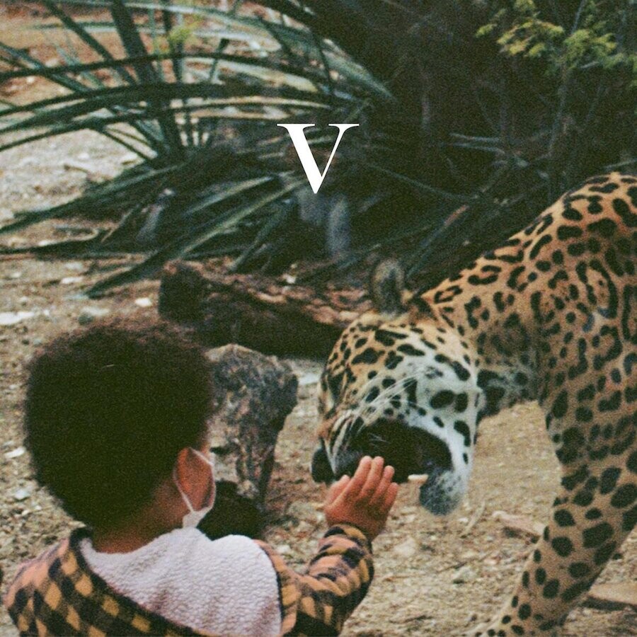 v-artwork