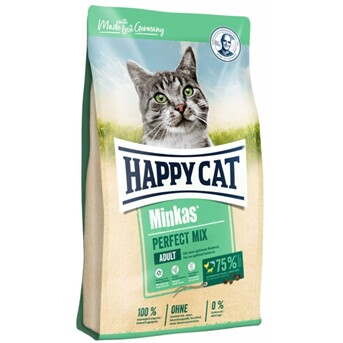 happy-cat-