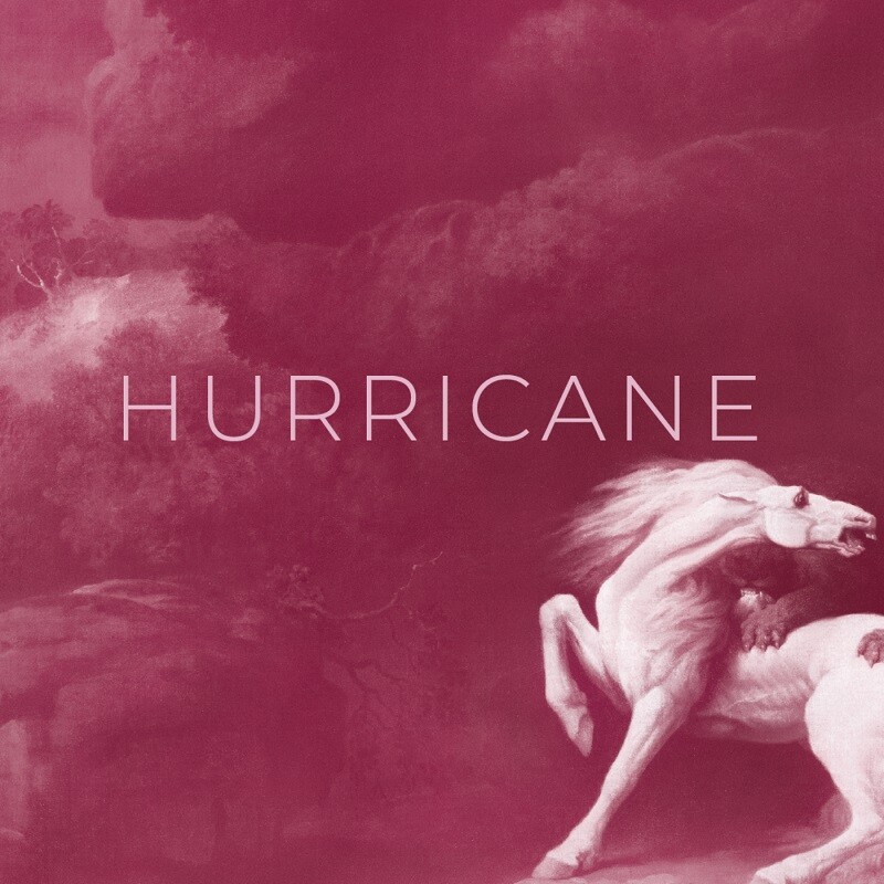 hurricane-single-cover_web