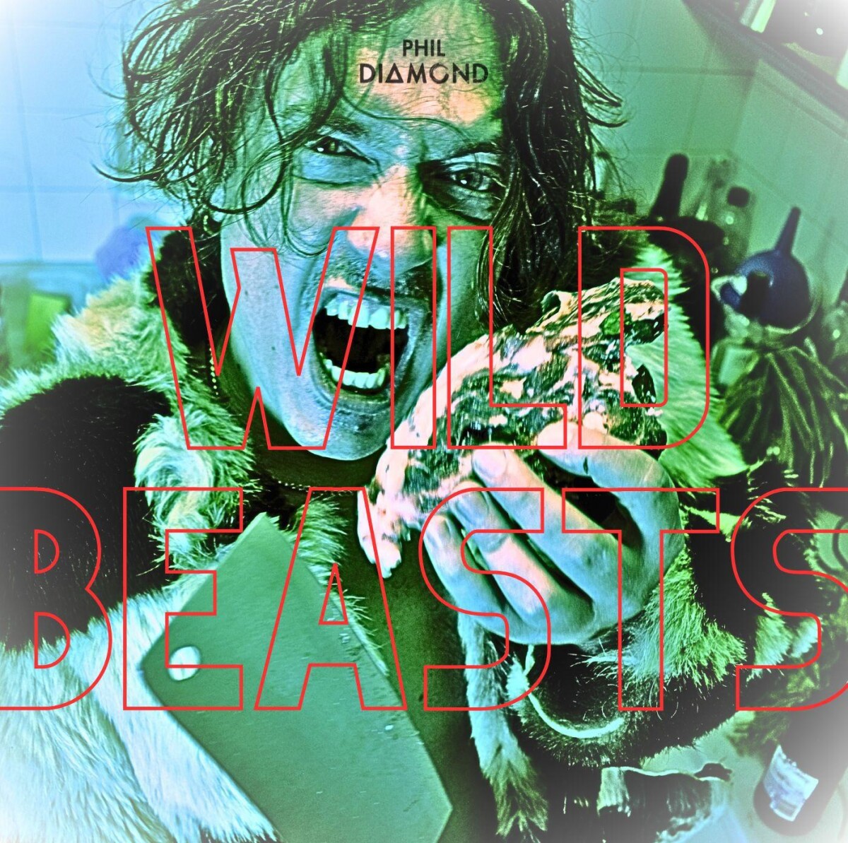 phil-diamond-wild-beasts-artwork