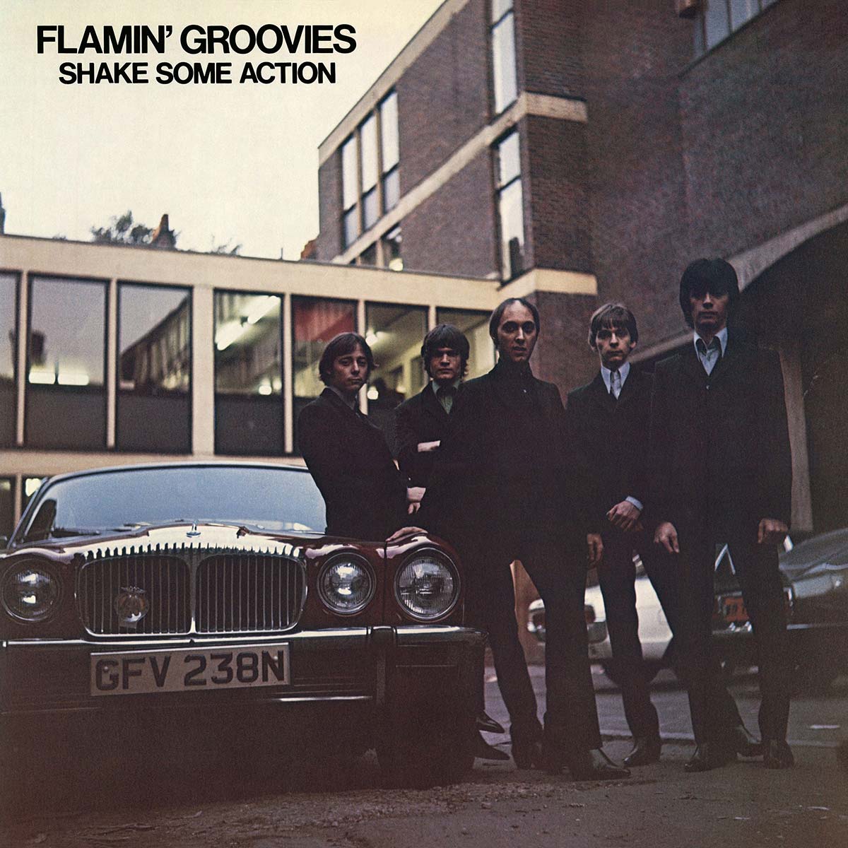 Flamin' Groovies