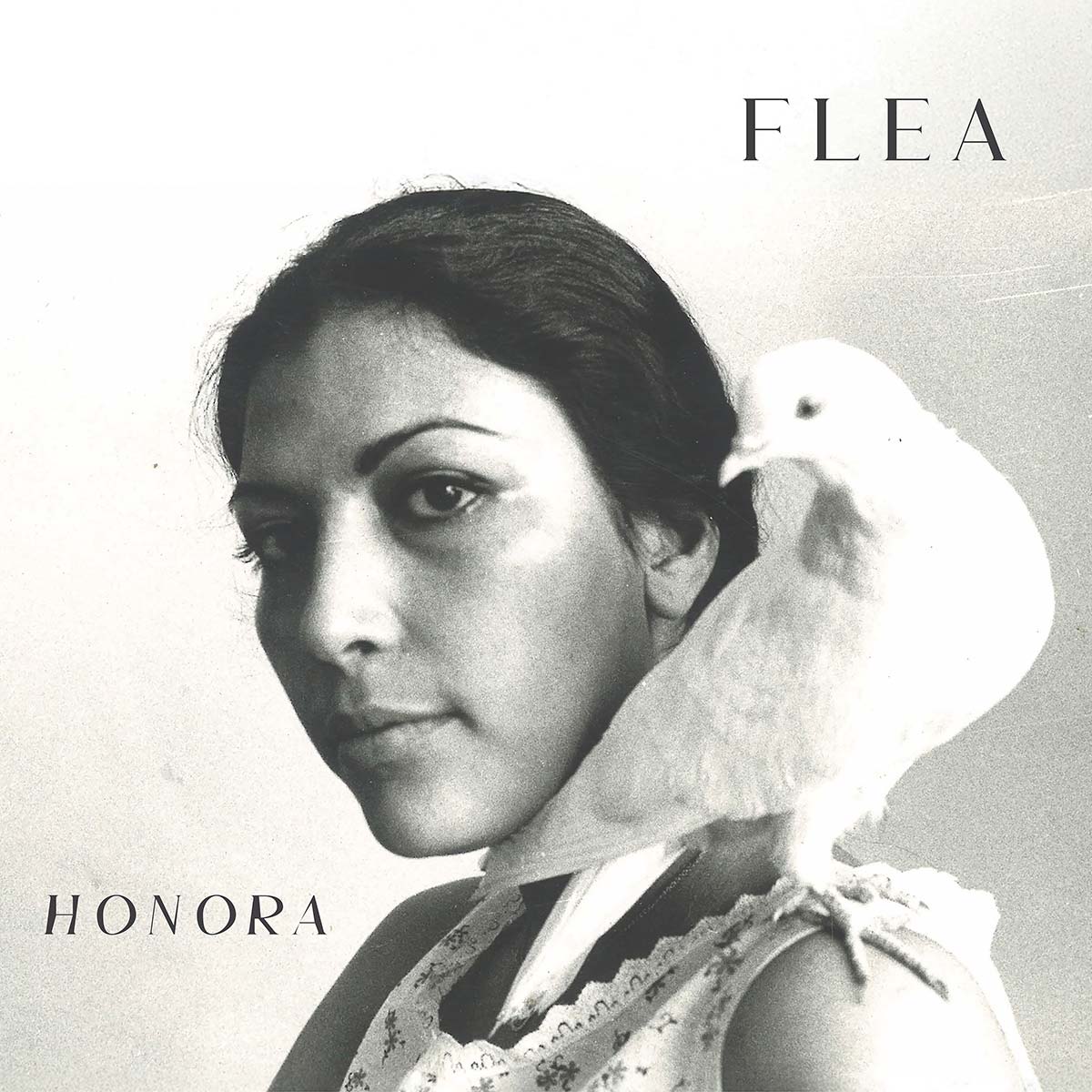 Flea – Honora
