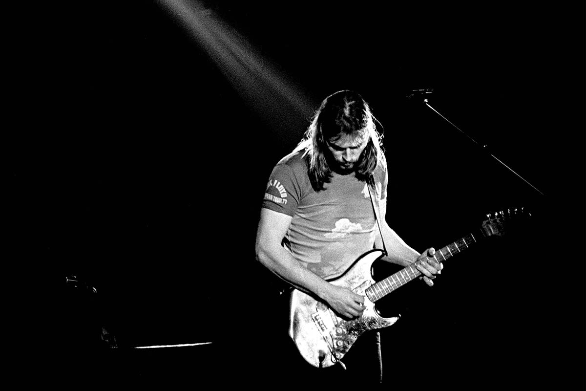 David Gilmour