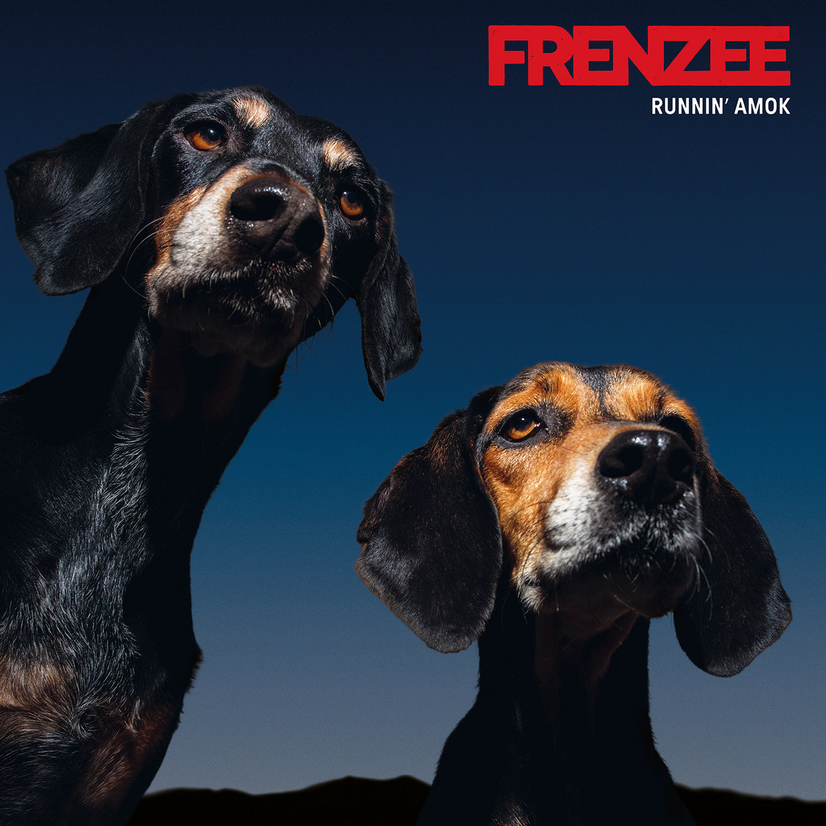 ALBUM REVIEW: Frenzee – Runnin' Amok
