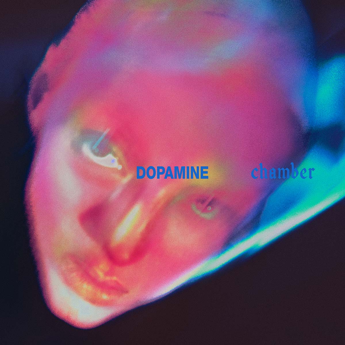 Fontaines D.C. – Dopamine Chamber, δισκοκριτική