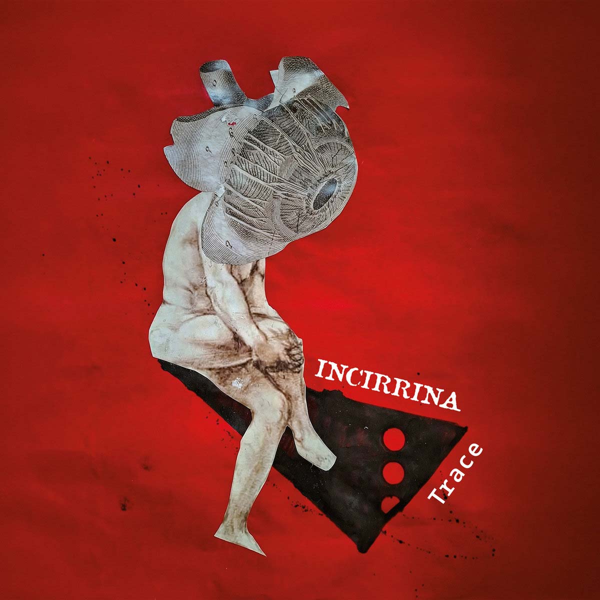 Incirrina