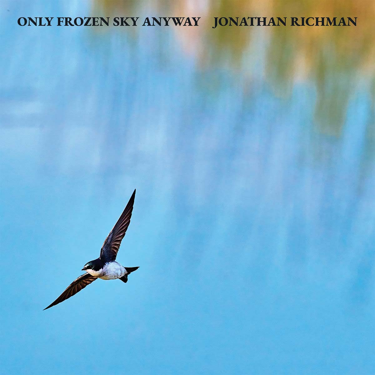 Jonathan Richman
