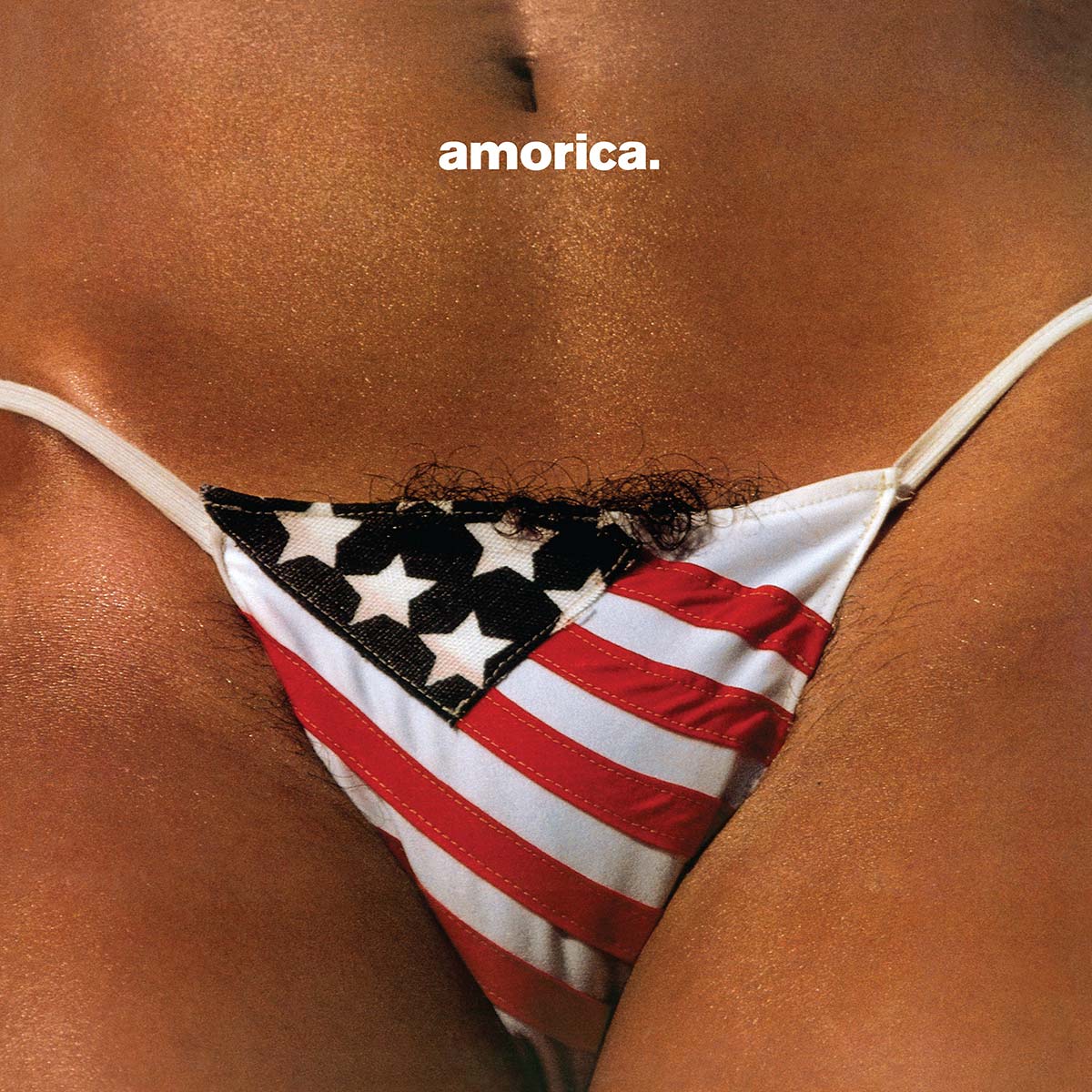 The Black Crowes – Amorica