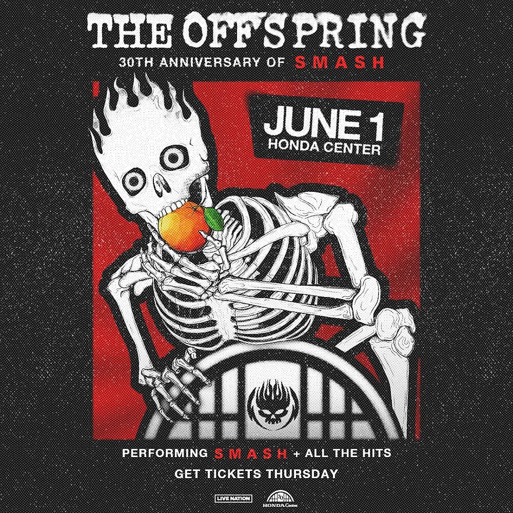 offspring smash anniversary concert poster