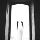 illum