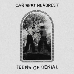 carseatheadrest.jpg