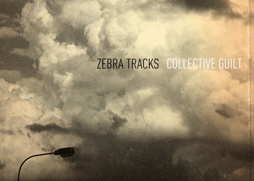 Cover_zebra