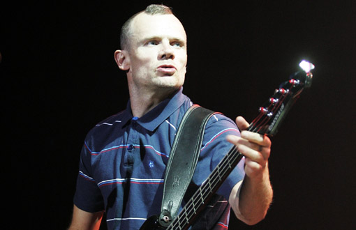 flea