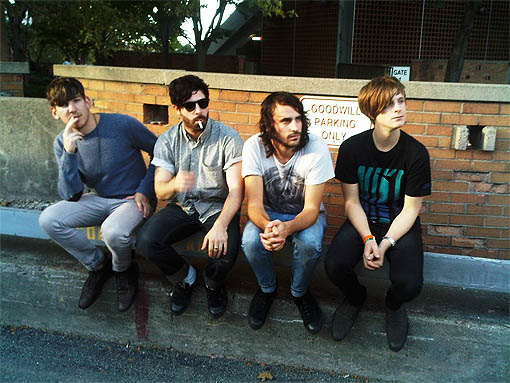 foals