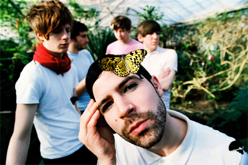 foals2