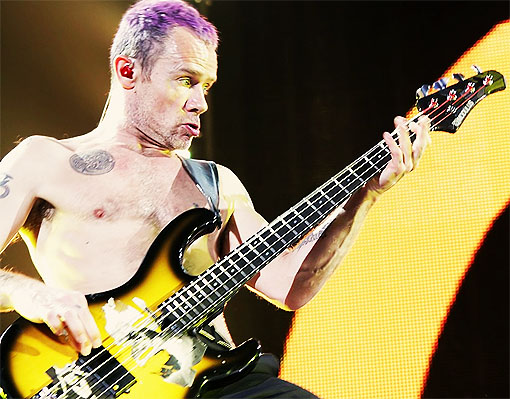 redhotchilipeppers_flea