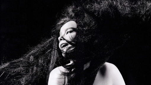 bjorkmoma2011-inez-vinoodh-02