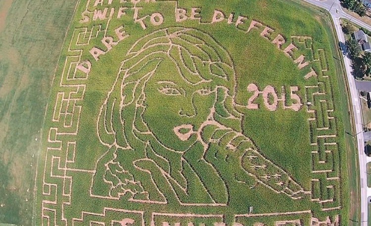 2015TaylorSwift_CornMaze_SummerFarm_150915.jpg