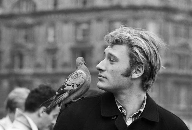 johnnyhallyday.jpg