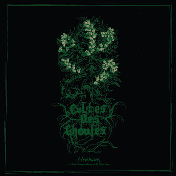 CULTES_DES_GHOULES__henbane