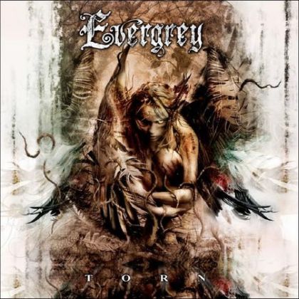 evergrey_torn
