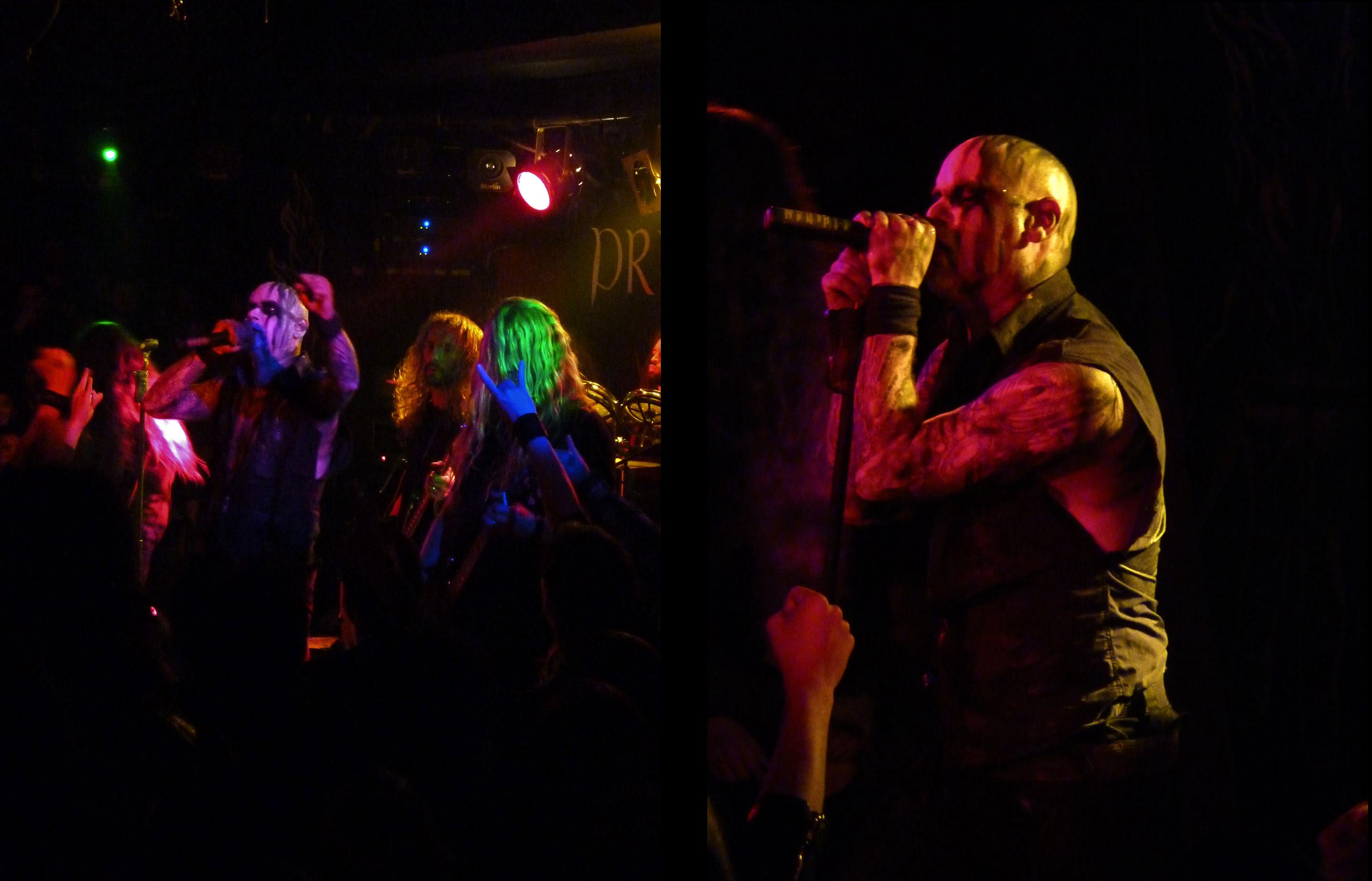 primordial9-2012