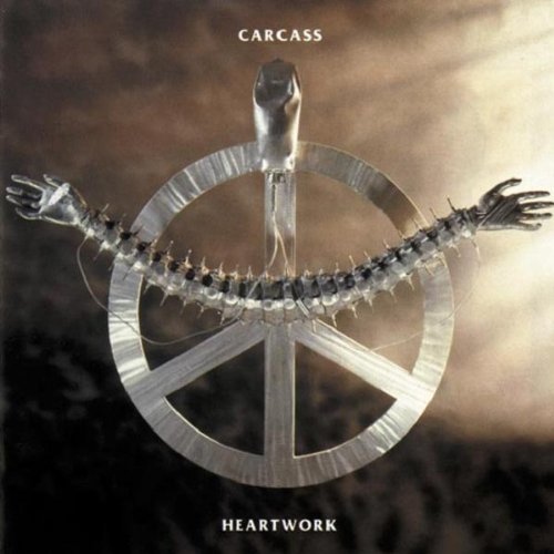 carcass