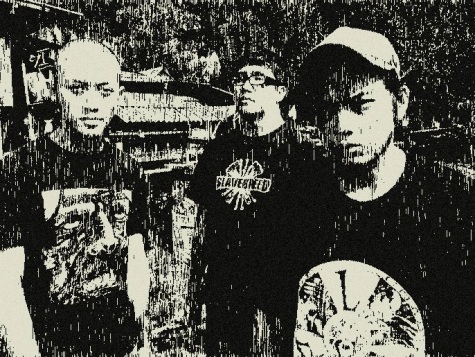 wormrotband