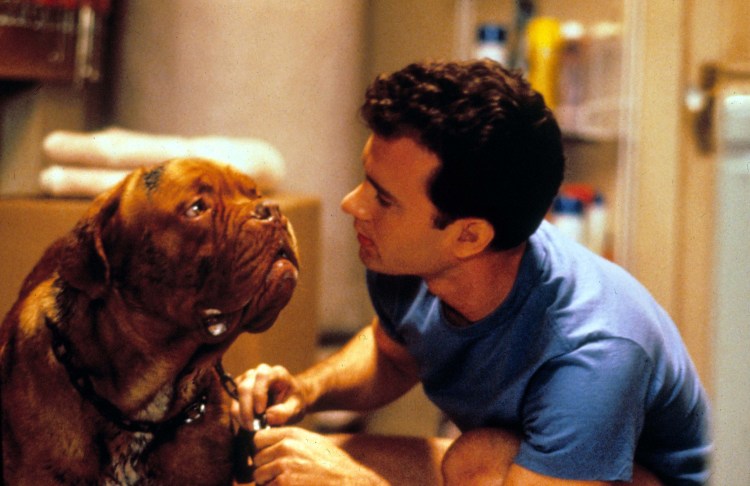 Turner & Hooch (1989).jpg