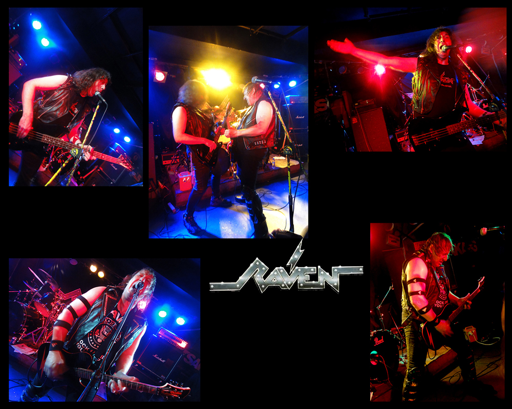raven_copy