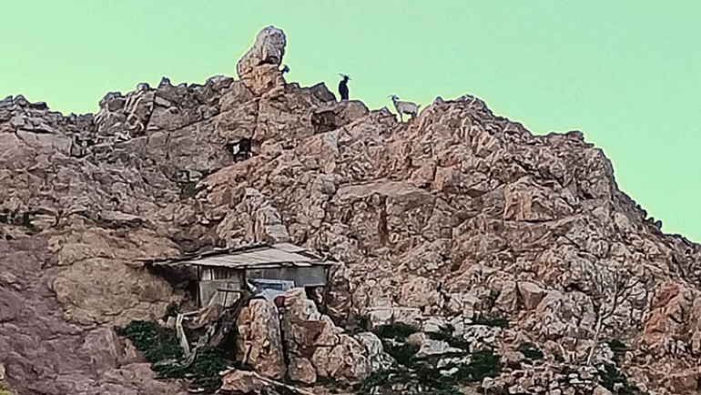 Daniele De Santis & Dario Papavassiliou  