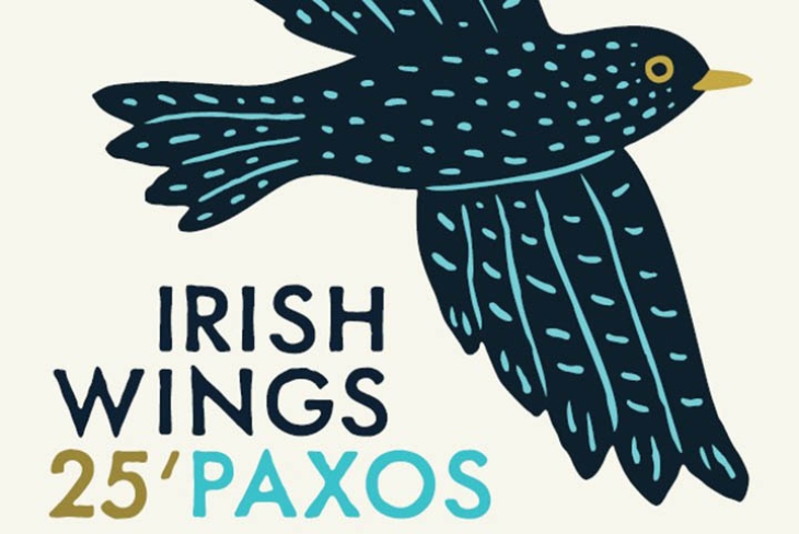 Irish Wings: Paul Brady,  Bright Phoebus